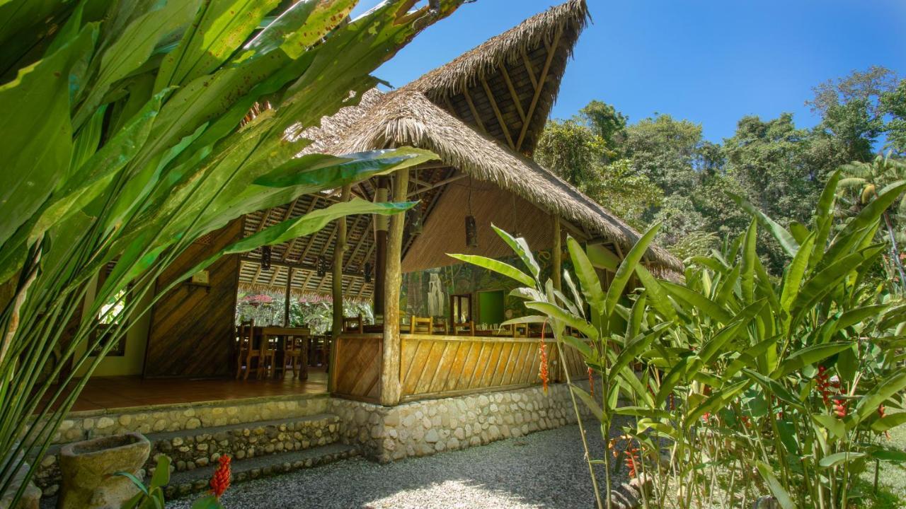 Esquinas Rainforest Lodge Гольфито Экстерьер фото