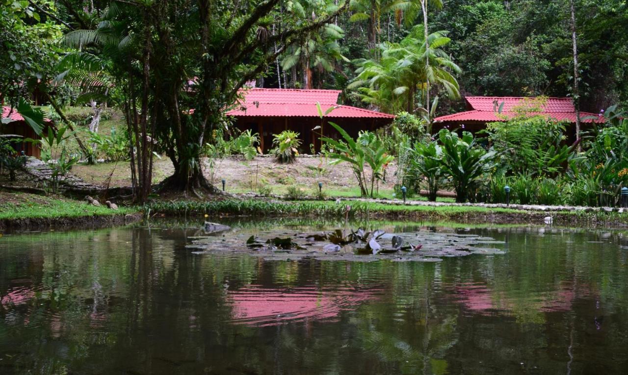 Esquinas Rainforest Lodge Гольфито Экстерьер фото
