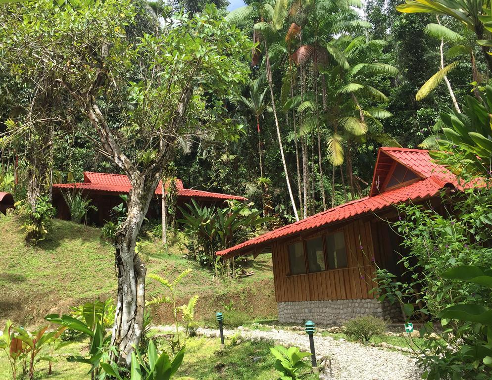 Esquinas Rainforest Lodge Гольфито Экстерьер фото