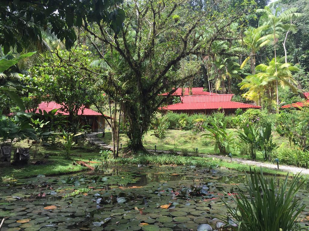 Esquinas Rainforest Lodge Гольфито Экстерьер фото