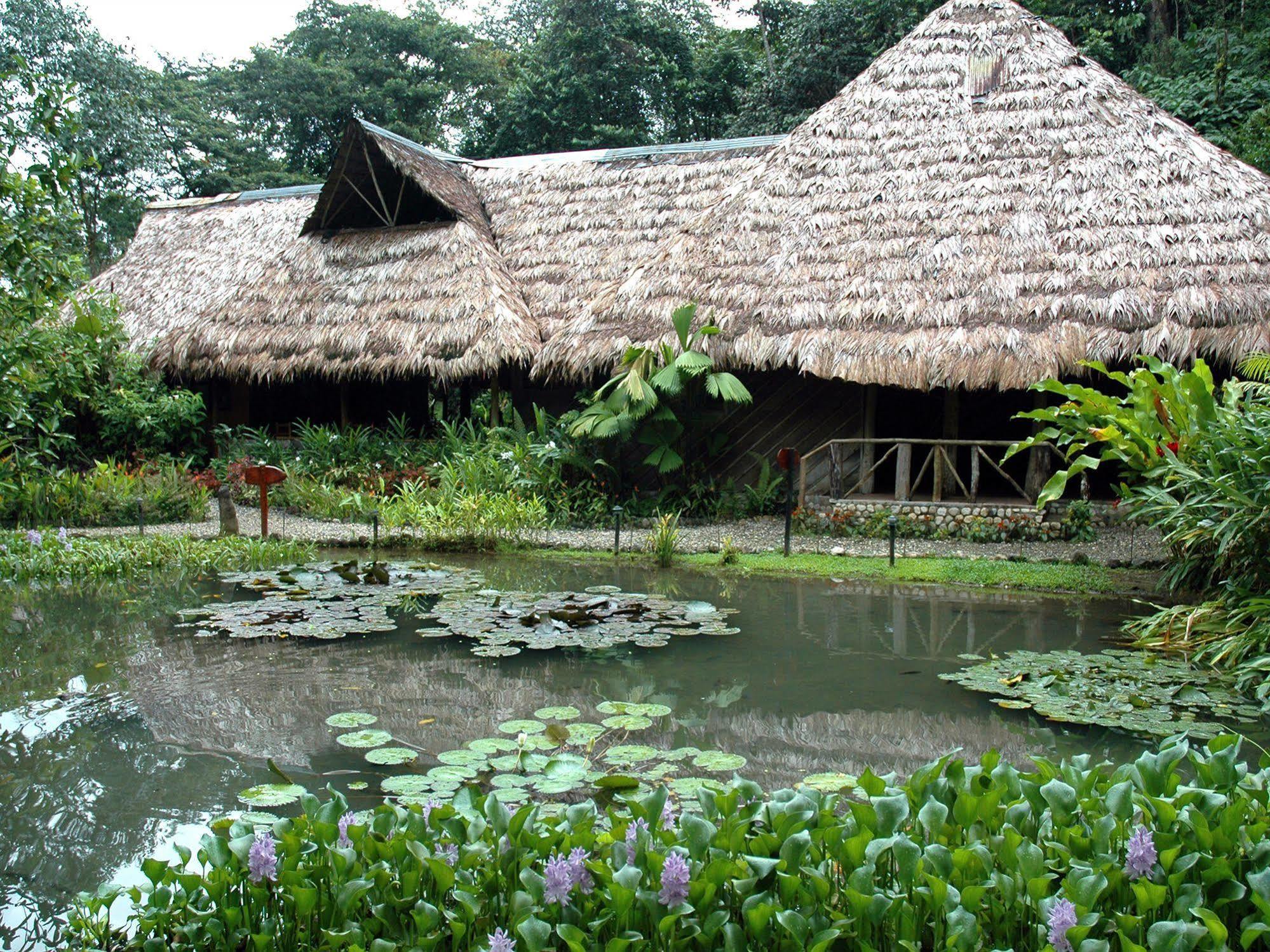 Esquinas Rainforest Lodge Гольфито Экстерьер фото