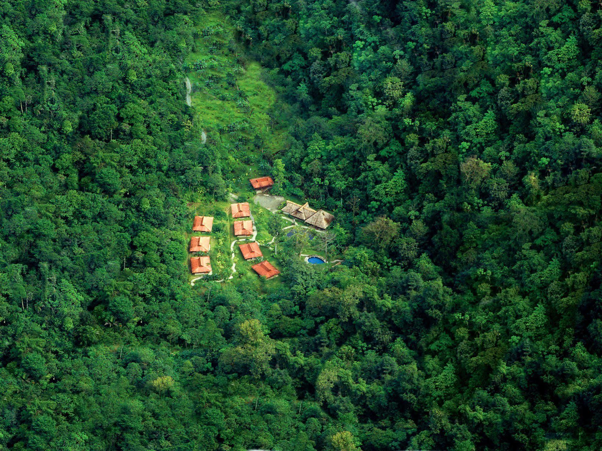 Esquinas Rainforest Lodge Гольфито Экстерьер фото