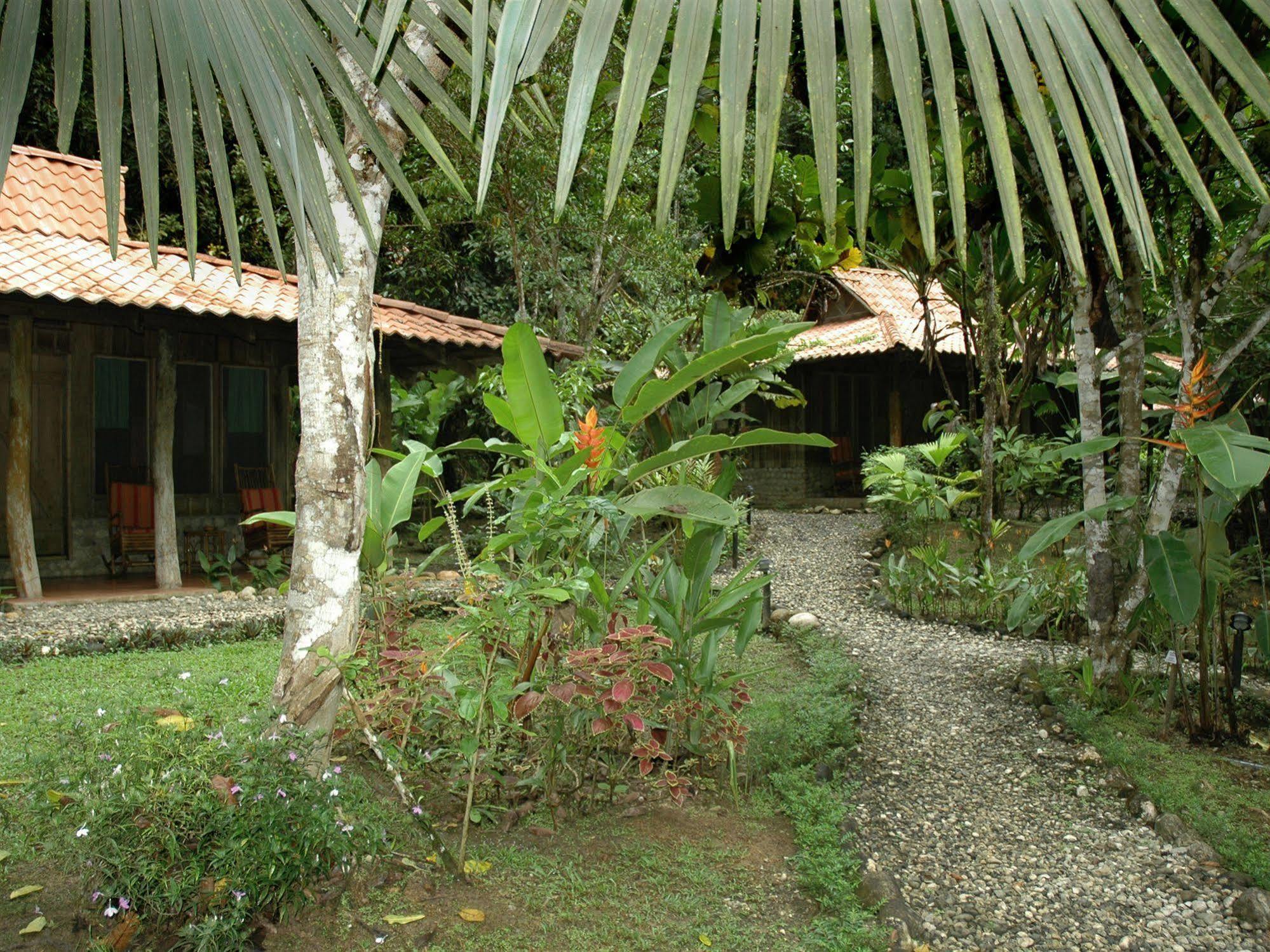 Esquinas Rainforest Lodge Гольфито Экстерьер фото