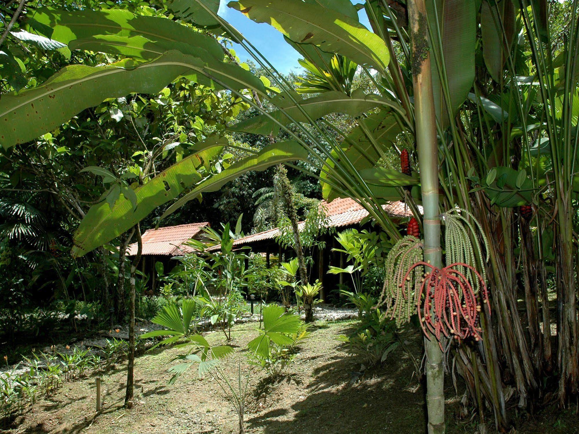 Esquinas Rainforest Lodge Гольфито Экстерьер фото