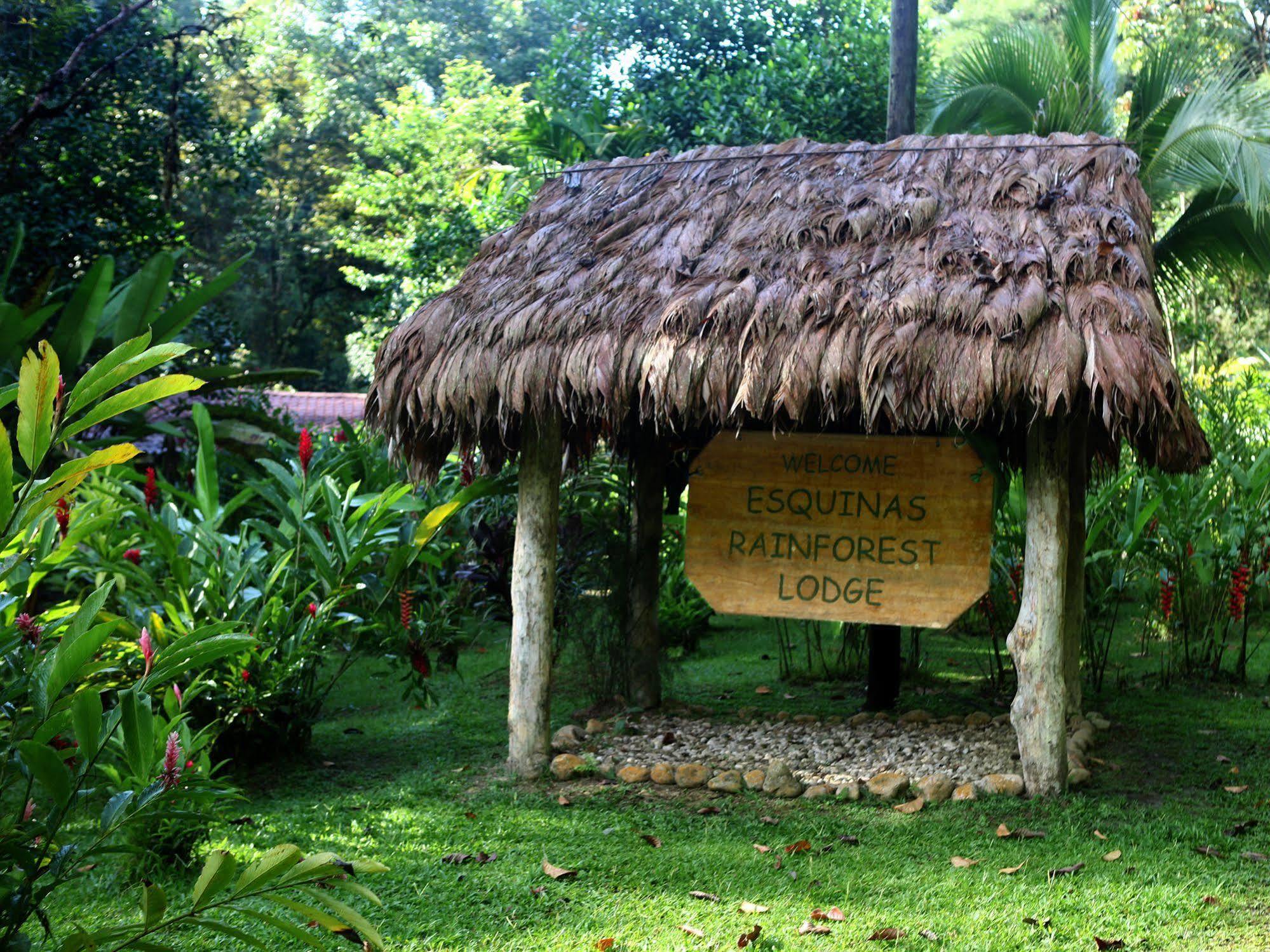 Esquinas Rainforest Lodge Гольфито Экстерьер фото